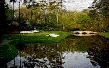 wpe8.gif (15988 bytes)